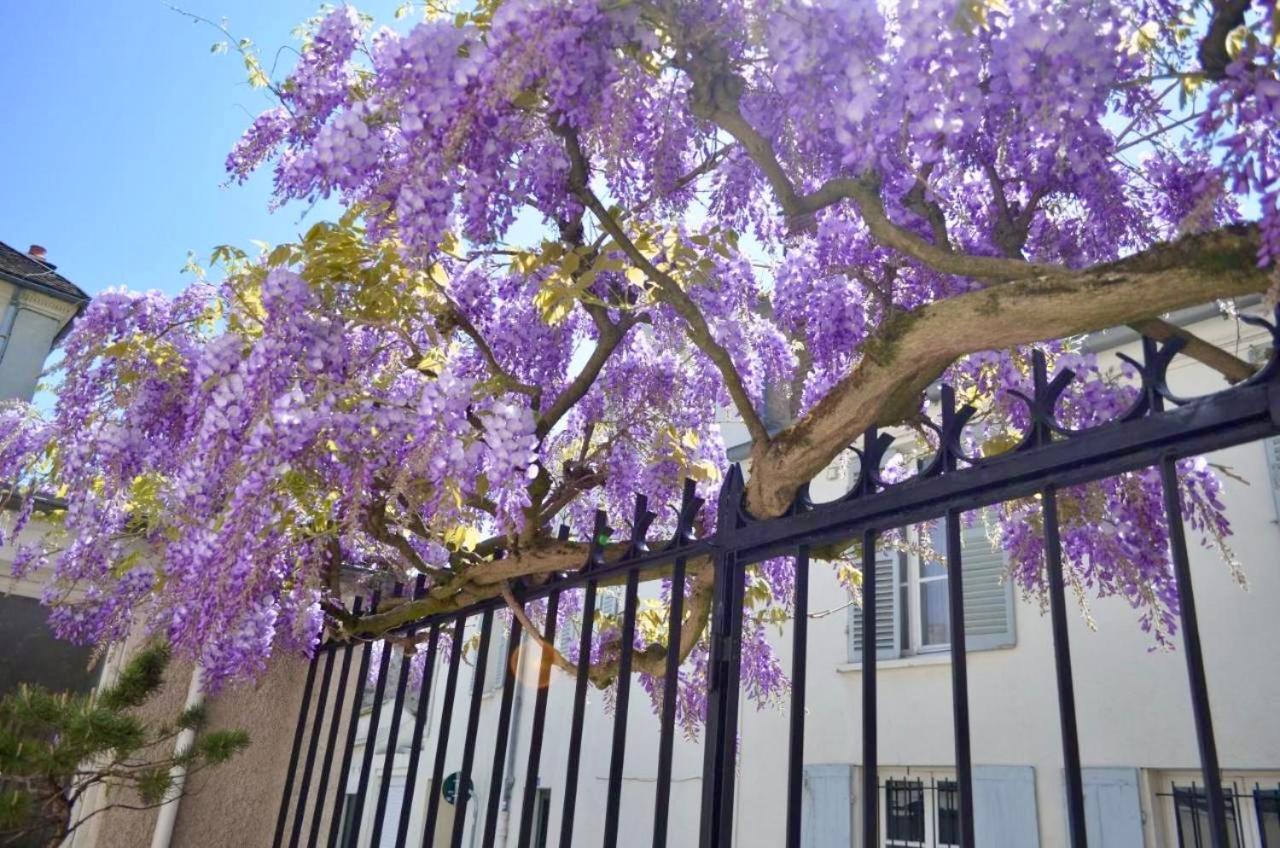 Bed and Breakfast Wisteria Фонтенбло Экстерьер фото